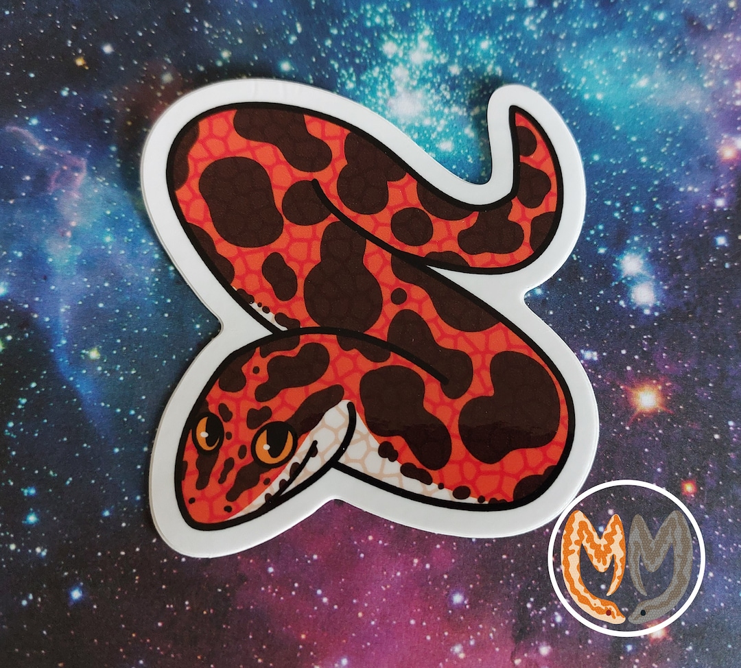 Kenyan Sand Boa Vinyl Sticker Etsy