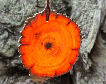 Medium Heartwood Suncatcher, Old Growth Longleaf Pine Blank from Hurricane Michael Windblown Tree