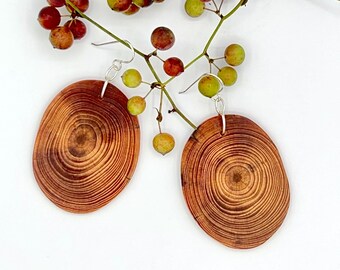 Longleaf Heartwood Earrings: Polished Edge Giant Ovals on Sterling Silver Earwires
