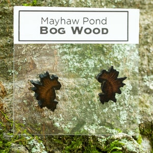 Mayhaw Pond Bog Wood Stainless Steel Stud Earrings