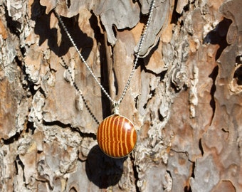 Cabochon Longleaf Heartwood Necklace in Sterling Silver