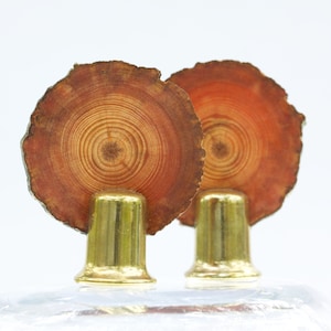 May include: Two round wooden bottle stoppers with a natural wood grain pattern and a brass base.