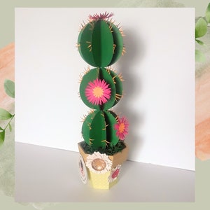 Paper Cactus Plant Decor - Artificial Cactus Plant cactus - Eco-friendly Succulent Plant Gift