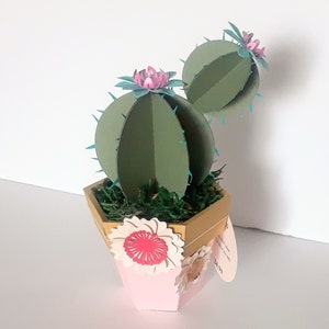 Décoration en papier pour plantes de cactus - Succulentes artificielles en fleurs, Décoration écologique pour la maison, Cadeau parfait pour les amateurs de plantes