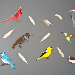Décoration murale sur le thème des oiseaux - Oiseaux communs d'Amérique du Nord - Décorations de fête d'anniversaire - Déco chambre d'enfants