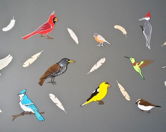 Bird Themed Wall Mural Backdrop - Common North American Birds - Birthday Party Decorations - Kids Bedroom Home Decor