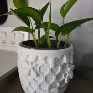 File STL per la copertura del vaso per vivaio a nido d'ape.