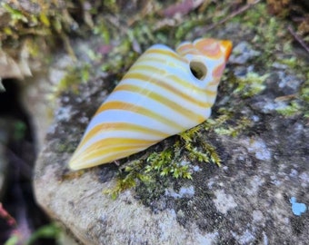 Glassadazical Medium Sized Earthtone Striped seashell Glass Pendant, Conch