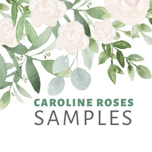 Puede incluir: Ilustración de acuarela de rosas blancas y hojas verdes con el texto "CAROLINE ROSES SAMPLES" en la parte inferior.