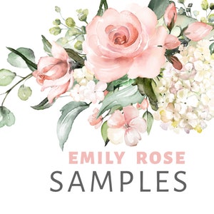 Puede incluir: Pintura acuarela de un ramo de flores rosas y blancas, incluyendo rosas e hortensias. Las flores están dispuestas en un racimo y tienen un toque suave y romántico. El texto "Emily Rose Samples" está escrito debajo de las flores.