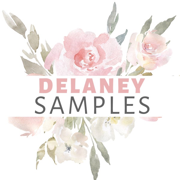 SAMPLES DELANEY Blush Pink Watercolor Flower Decals Delaney Mae, Delaney Rose, Delaney Jane, Delaney Blush Pink WALLPAPER 0176