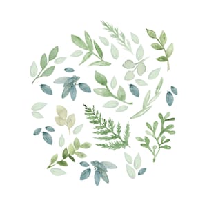 CAROLINE Greens 20 Single Pieces, Peel and Stick REMOVABLE Wall Decal Nursery Décor Greenery Eucalyptus Watercolor Fern Girls Baby Room