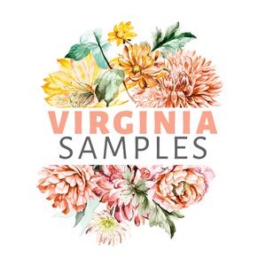 SAMPLES VIRGINIA Romantic Vintage Coral Pink Watercolor Flower Nursery Décor Girl Bedroom Wallpaper Wall Decals 0136