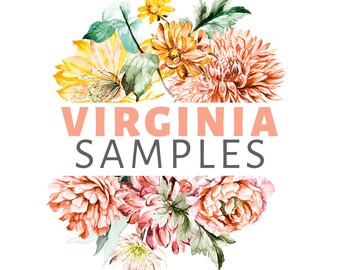SAMPLES VIRGINIA Romantic Vintage Coral Pink Watercolor Flower Nursery Décor Girl Bedroom Wallpaper Wall Decals 0136