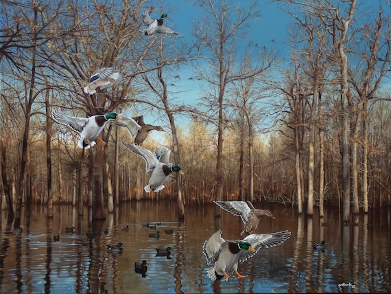 Mallard Duck Art Painting Print 2014 Arkansas Ducks Unlimited Reydell Hole  