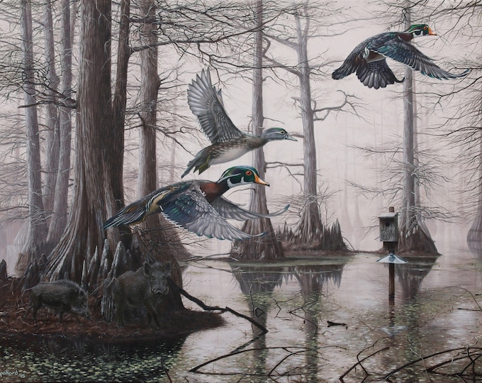 Featured listing image: Wood Duck Art Hogs Painting Print 2016 Arkansas Ducks Unlimited Cypress Bayou Neighbors
