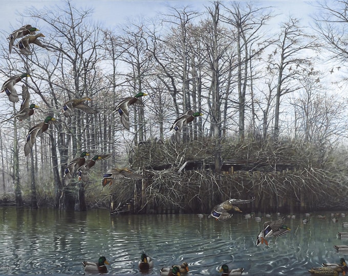 Featured listing image: Big Daddy Greenheads Duck Art Painting Print 2024 Arkansas Ducks Unlimited Mallards