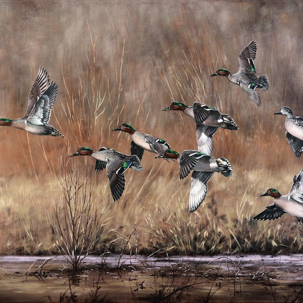 Green Winged Teal Duck Art Painting Print 2020 Arkansas Ducks Unlimited Green-Winged Getaway