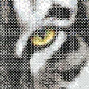 Tiger Eyes Counted Cross Stitch instant pattern PDF: image 3