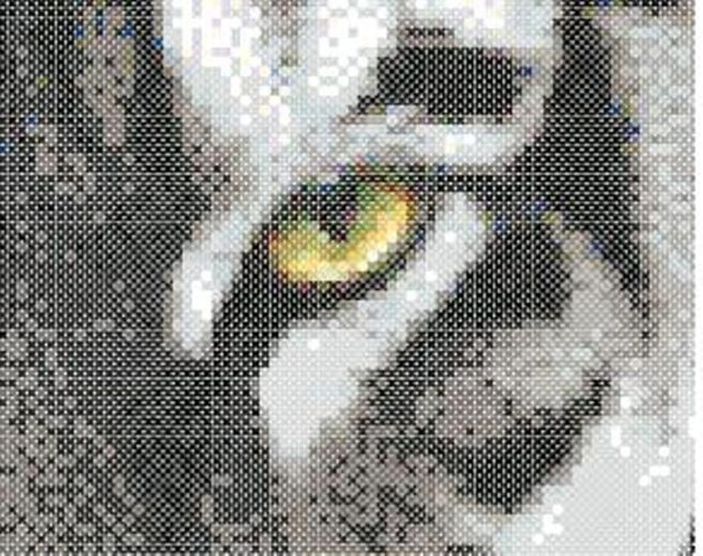 Tiger Eyes Counted Cross Stitch instant pattern PDF: image 3