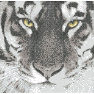 Tiger Eyes Counted Cross Stitch instant pattern PDF: