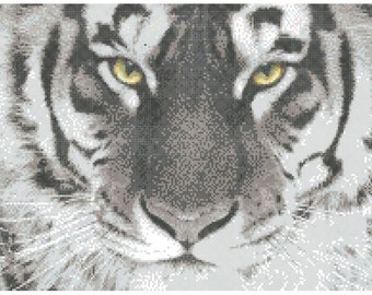 Tiger Eyes Counted Cross Stitch instant pattern PDF: