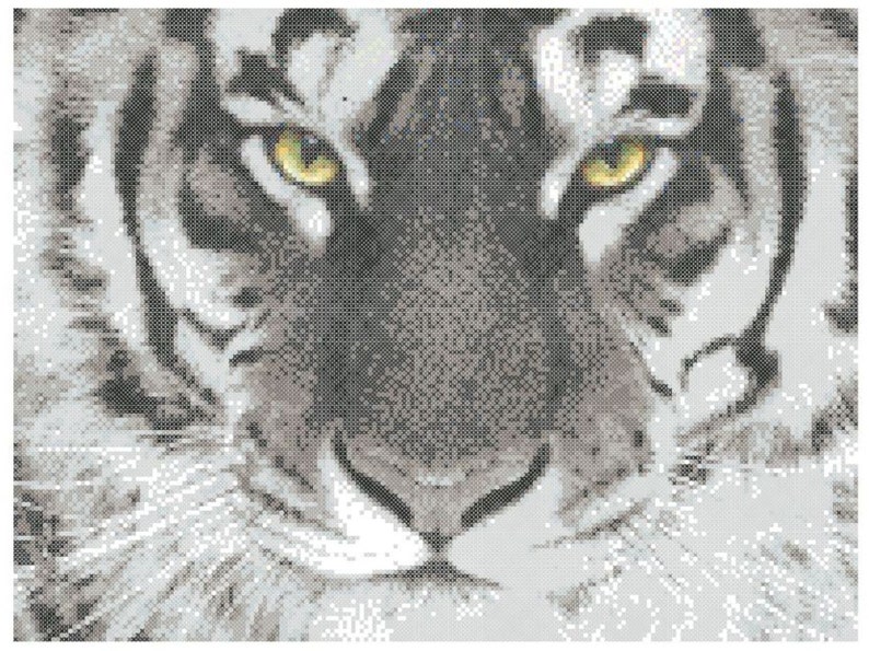 Tiger Eyes Counted Cross Stitch instant pattern PDF: image 1