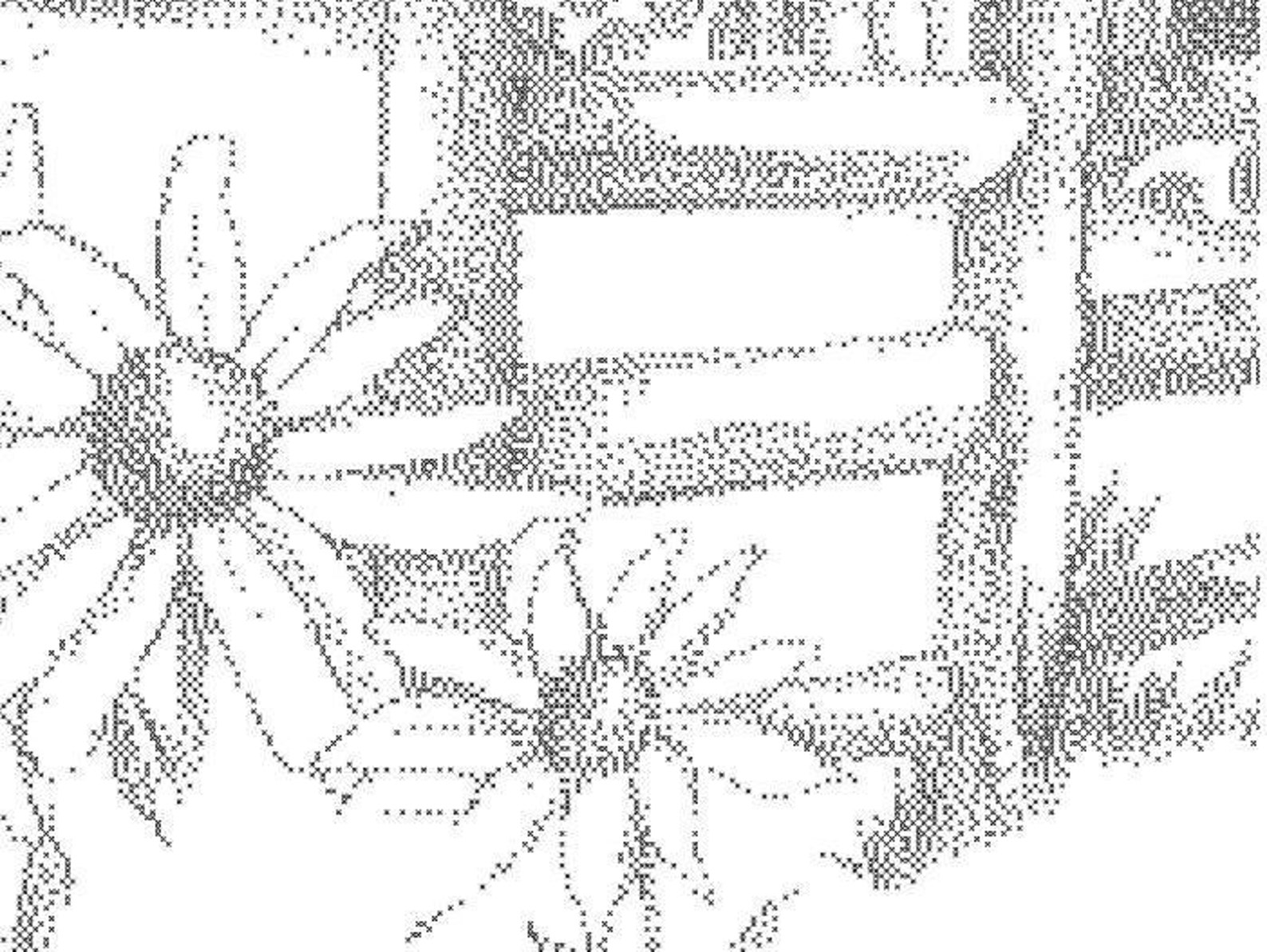 Country Living Counted Cross Stitch Pattern Only PDF Etsy