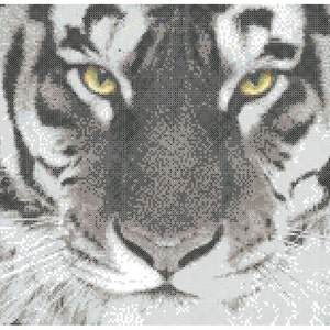 Tiger Eyes Counted Cross Stitch instant pattern PDF: image 2