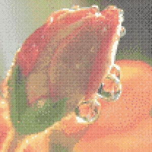 A Dew&#39;s Kiss Counted Cross Stitch Pattern only PDF: