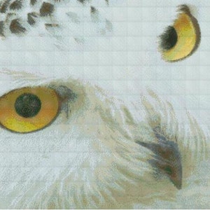The Stare Counted Cross Stitch Chart - Pattern only PDF