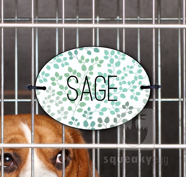 Crate Tag Matching Dog Crate Set Crate Tag with Rings Zipper Pull Crate Tag and Additional Matching Products Bowl Labels Sage