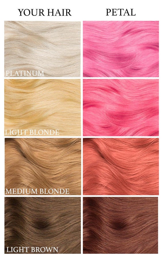 Pastel Pink Hair Dye - Etsy Pastel Pink Hair Dye - Etsy