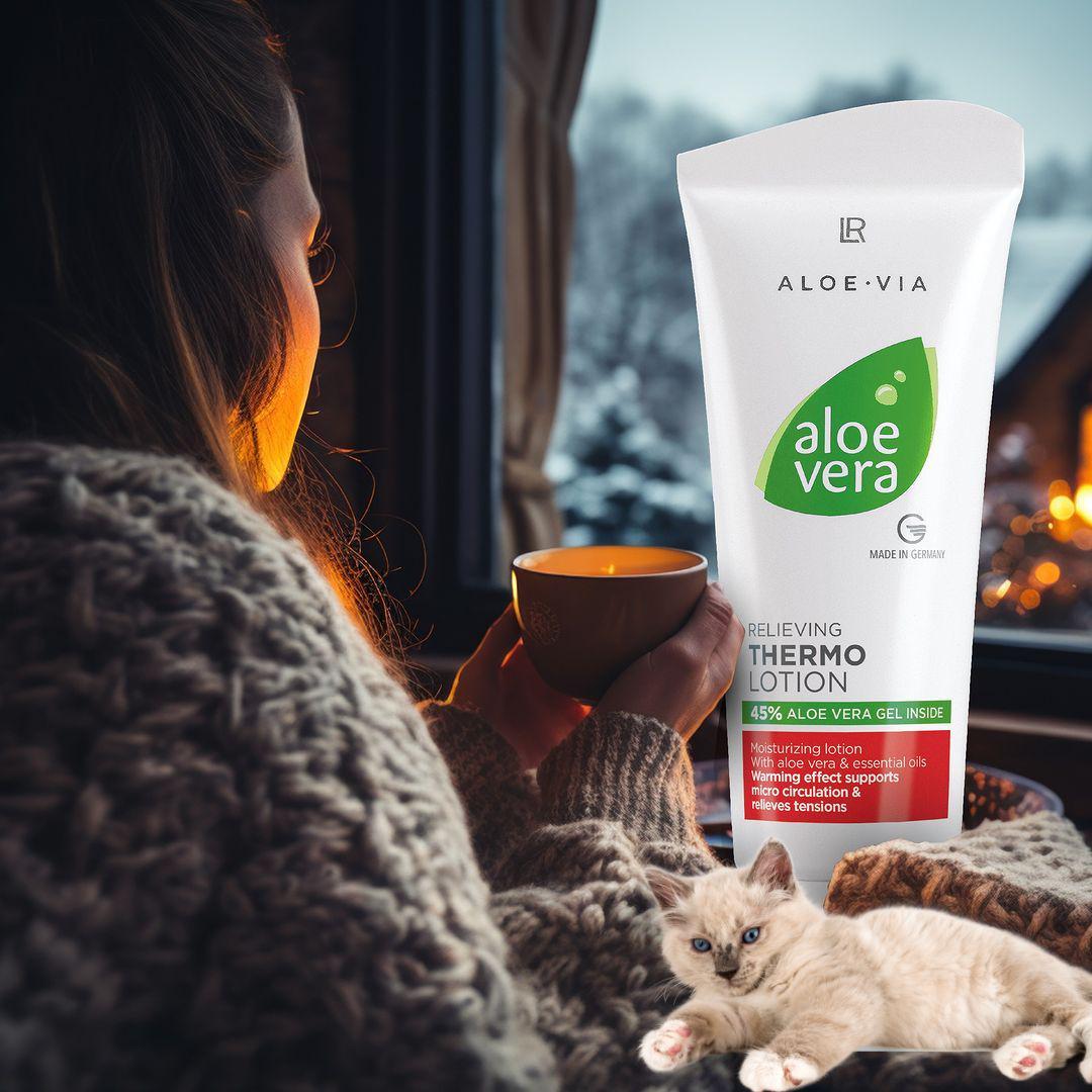buy aloe vera plant near me Aloe Vera