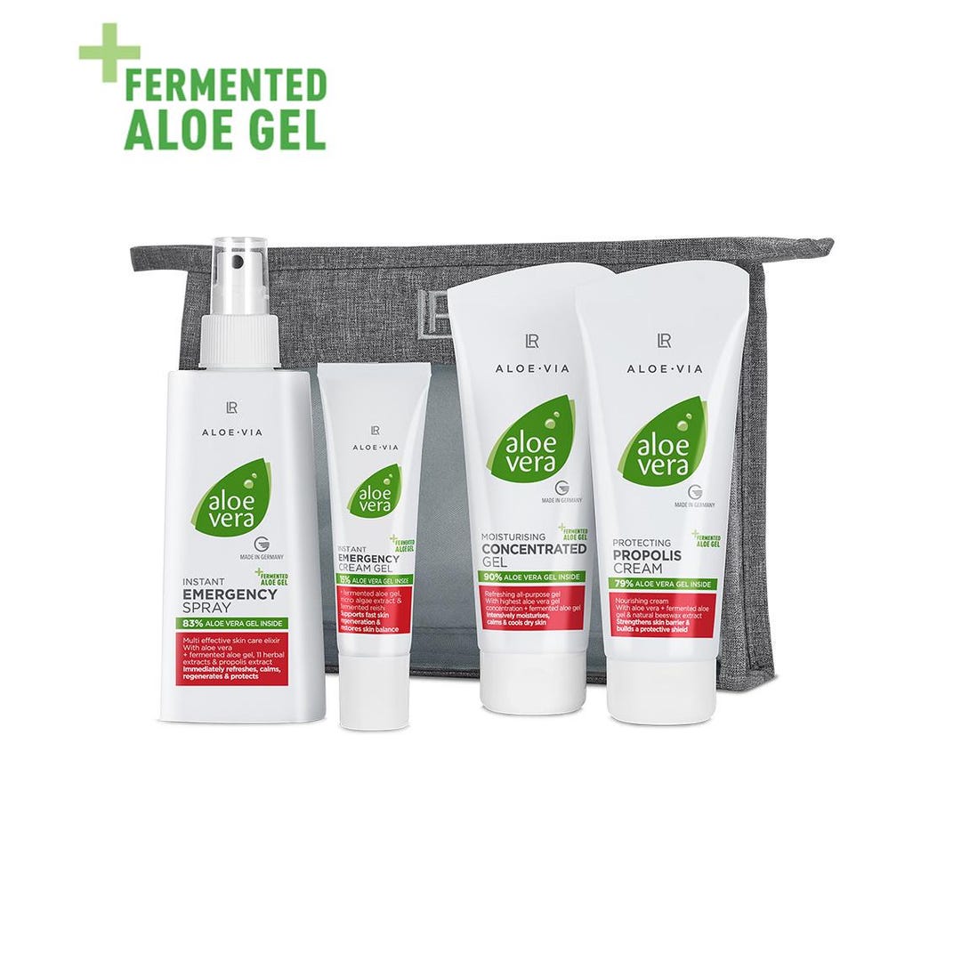 aloe vera kalorien Aloe Vera Mango Flavor 24x250ml zzgl. Pfand 6,00 € – GEtca GmbH