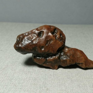 Bonsai Suiseki Natural Gobi Agate alashan Stone dog 071605
