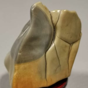 Bonsai Suiseki Natural Gobi Agate alashan Stone teeth 071005