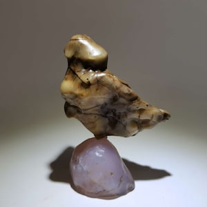 Bonsai Suiseki Natural Gobi Agate alashan Stone bird 081602