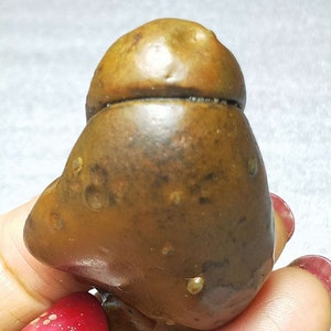 Bonsai Suiseki Natural Gobi alashan Stone use your imagination 080704
