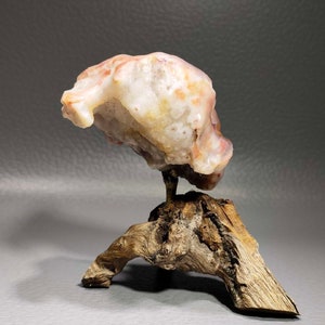 Bonsai Suiseki Natural Gobi alashan Stone eagle 072805