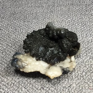 Bonsai Suiseki-Natural Gobi Agate alashan Stone tortoise 071001