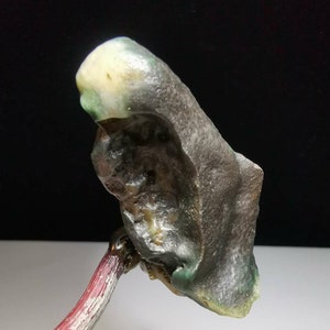 Bonsai Suiseki Natural Gobi alashan Stone parrot 072802