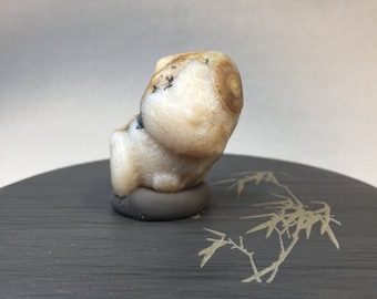 中国天然石山石盆栽水石アラシャン砂漠ゴビ石戈壁石 022601 - Etsy 日本