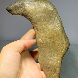 Bonsai Suiseki Natural Gobi alashan Stone sea lion 073106