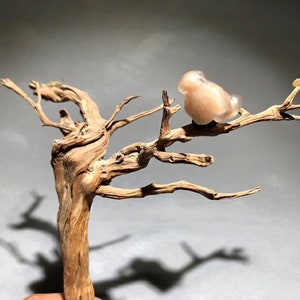 Bonsai Suiseki Natural Gobi alashan Stone bird 081501