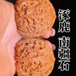 May include: Two brown, textured walnut shells with deep, intricate ridges and a pointed tip. The shells are positioned vertically, one above the other, against a black background. To the right, there is white Chinese text reading 涿鹿南疆石.