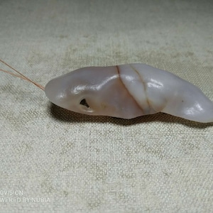Bonsai Suiseki Natural Gobi alashan Stone shrimp 072002