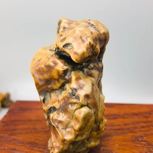 Bonsai Suiseki Natural Gobi alashan Stone panda 073102