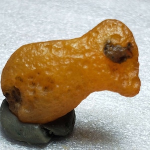 Bonsai Suiseki Natural Gobi alashan Stone bird 080706