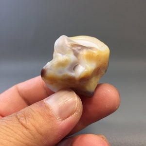 Bonsai Suiseki Natural Gobi Agate alashan Stone dog head 071504